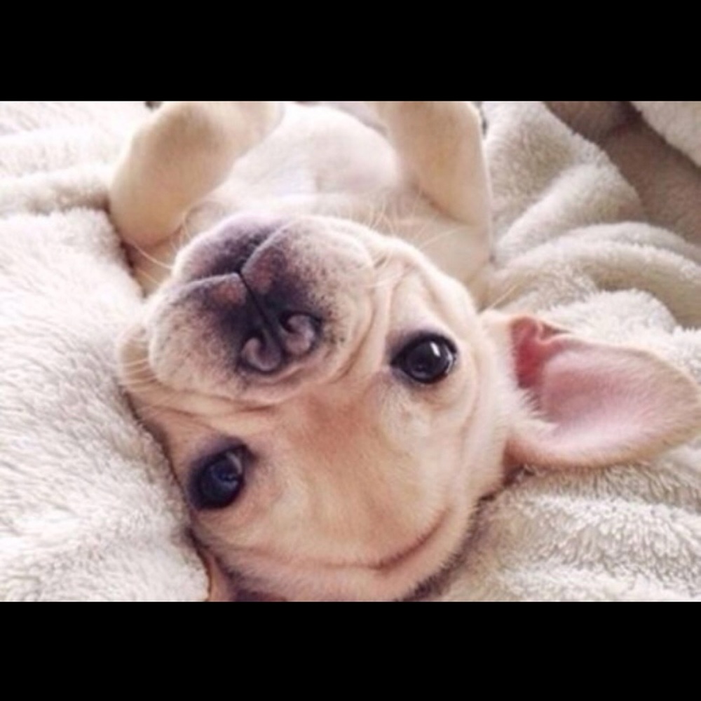 Meet your Posher, Jabell